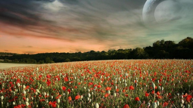 如有如此漂亮的女友，该怎么办，才能不弄丢？